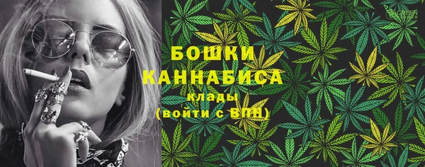 дмт Богданович