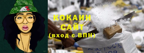 прущий лед Бородино