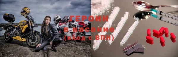 индика Богородск