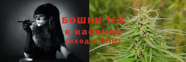 прущий лед Бородино