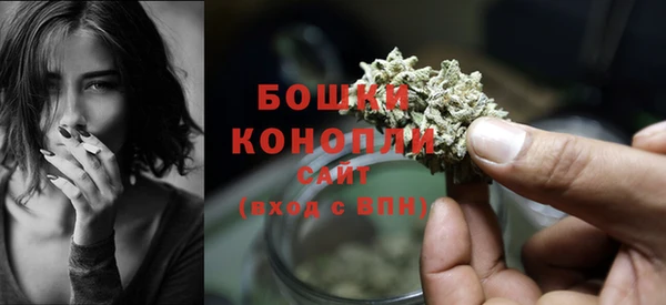 индика Богородск