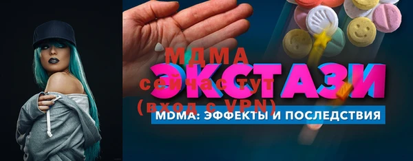 дмт Богданович