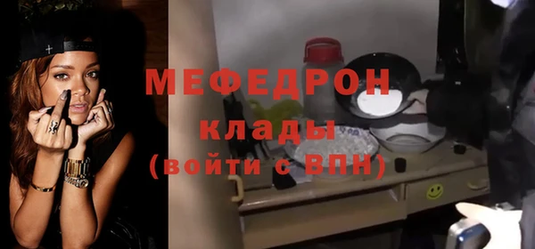 индика Богородск
