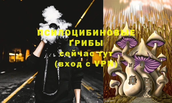 PSILOCYBIN Бронницы