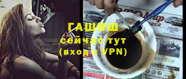 индика Богородск
