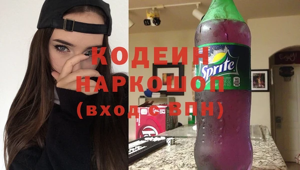 прущий лед Бородино