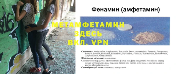 индика Богородск