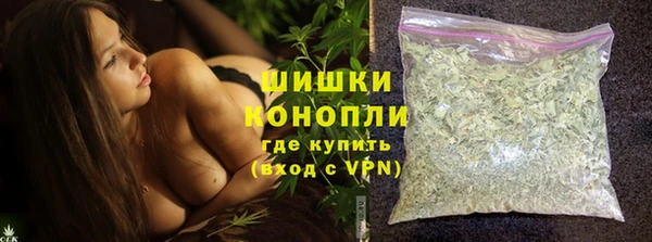 прущий лед Бородино